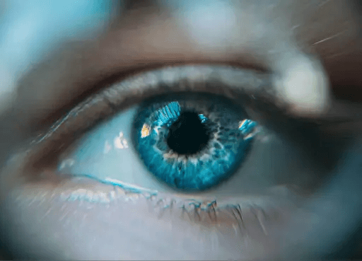 Persuadme preview image